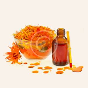 Lavender Herb Flower Essence Oil
